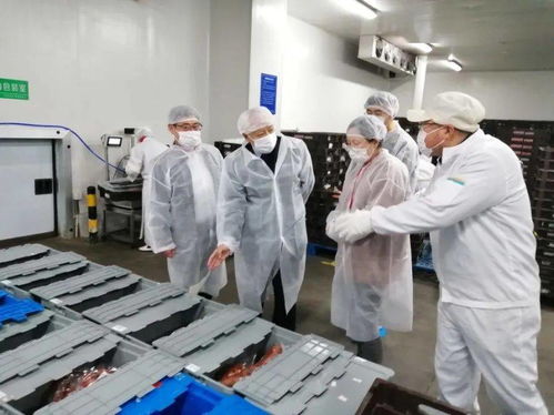 市场监管在行动 价格检查、食品安全、文明防疫、志愿服务全方位护航旅游管理服务